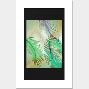 PASTEL FEATHERS TROPICAL PALM DESIGN BEACH POSTER ART PRINT Posters and Art